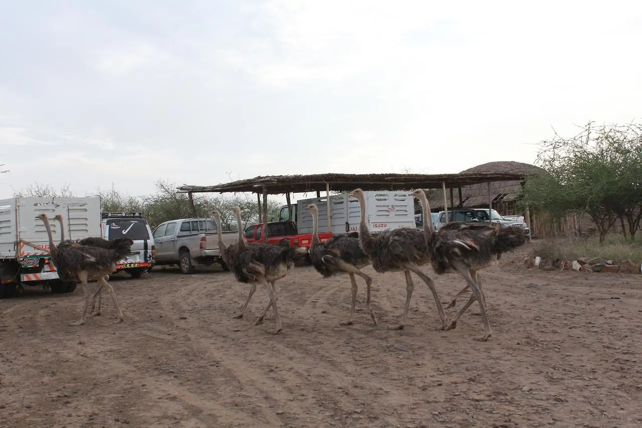 Doho Lodge & Hot Springs Dire K'alu